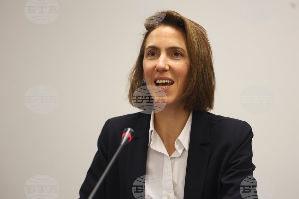 Европейски парламент - Валери Айе - пресконференция