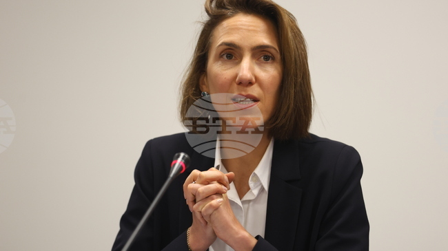 Renew Europe Expresses Support for Those Defending Democracy, Electoral Process Integrity