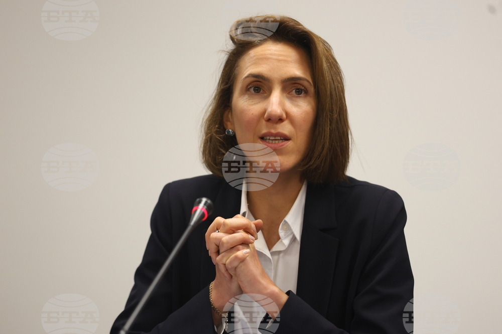 Renew Europe Expresses Support for Those Defending Democracy, Electoral Process Integrity