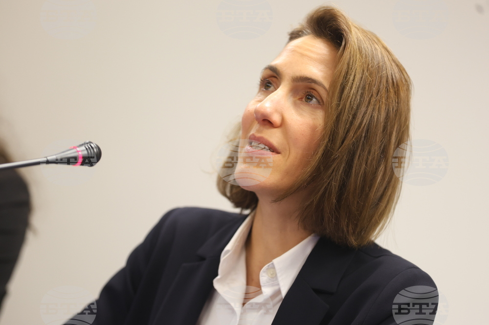 Европейски парламент - Валери Айе - пресконференция