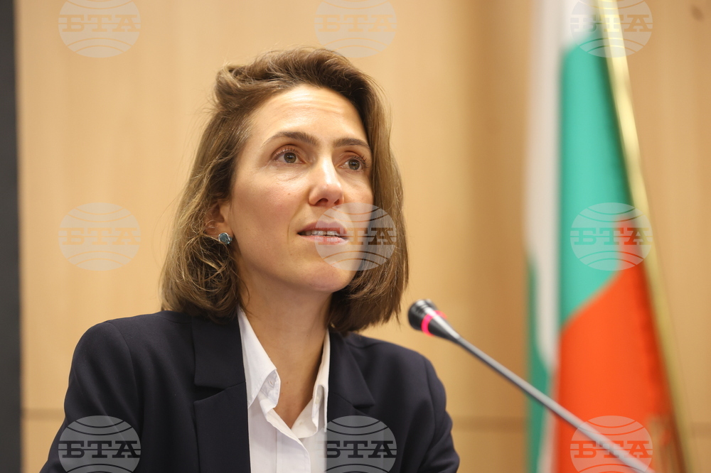 Европейски парламент - Валери Айе - пресконференция