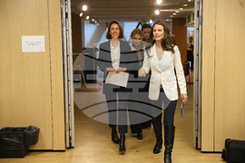 Европейски парламент - Валери Айе - пресконференция