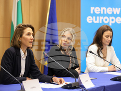 Европейски парламент - Валери Айе - пресконференция