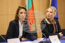 Европейски парламент - Валери Айе - пресконференция