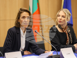 Европейски парламент - Валери Айе - пресконференция