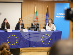 Европейски парламент - Валери Айе - пресконференция