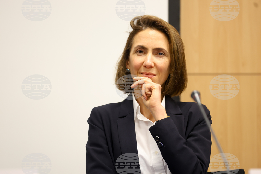 Европейски парламент - Валери Айе - пресконференция