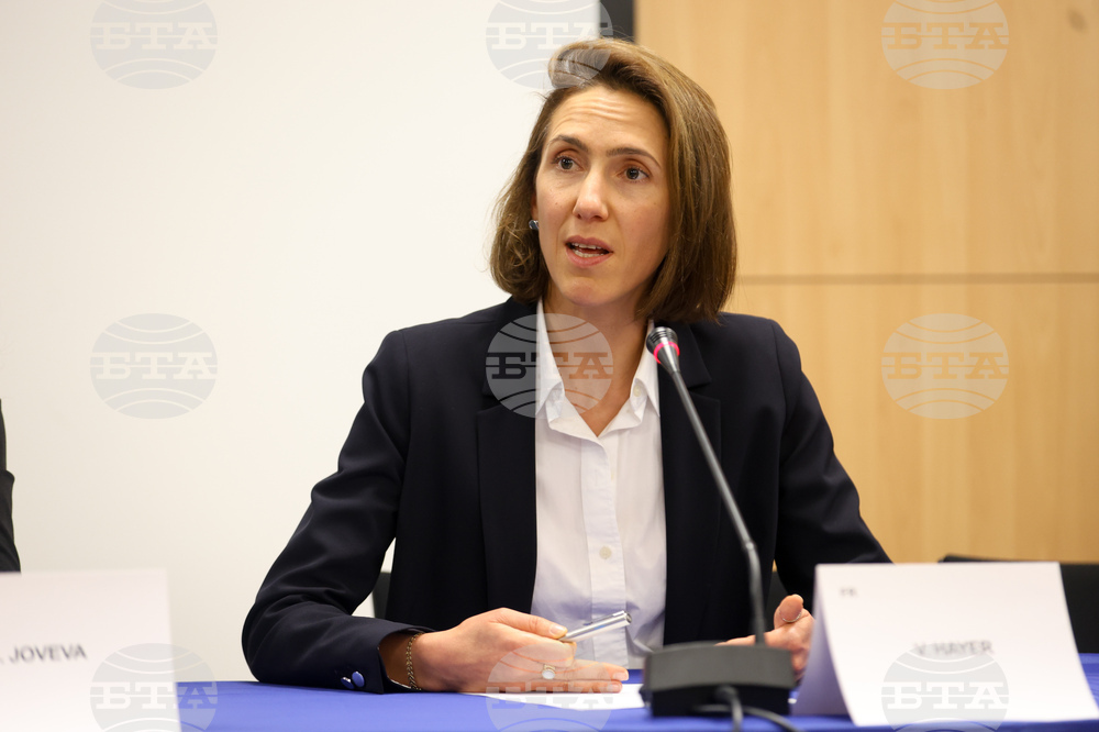 Европейски парламент - Валери Айе - пресконференция