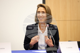 Европейски парламент - Валери Айе - пресконференция