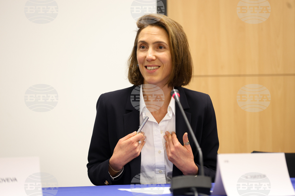 Европейски парламент - Валери Айе - пресконференция