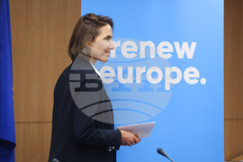 Европейски парламент - Валери Айе - пресконференция