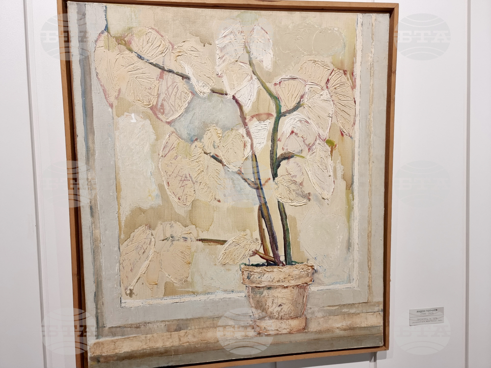 Ямбол - Андон Топчиев - изложба