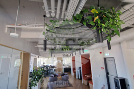 Румъния - Букурещ - споделено работно пространство