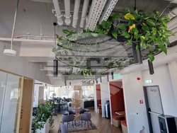 Румъния - Букурещ - споделено работно пространство