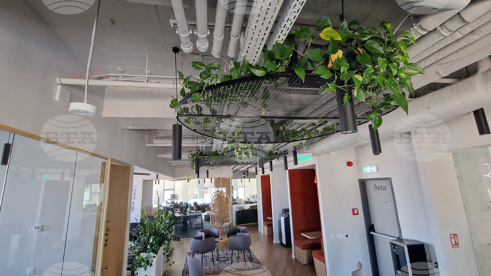 Румъния - Букурещ - споделено работно пространство