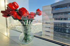 Румъния - Букурещ - споделено работно пространство