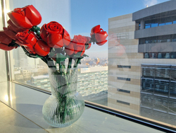 Румъния - Букурещ - споделено работно пространство