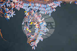 Pictures of the Week Global Photo Gallery