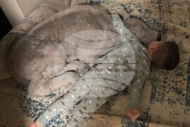 Winter Weather-Cold Calf