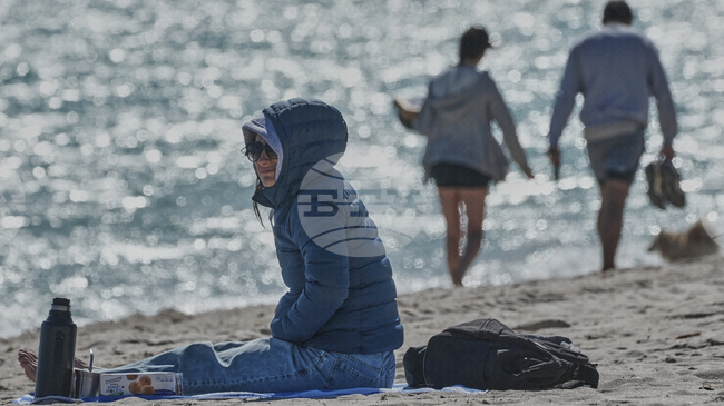 Флорида се готви за студ и възможни снеговалежи 