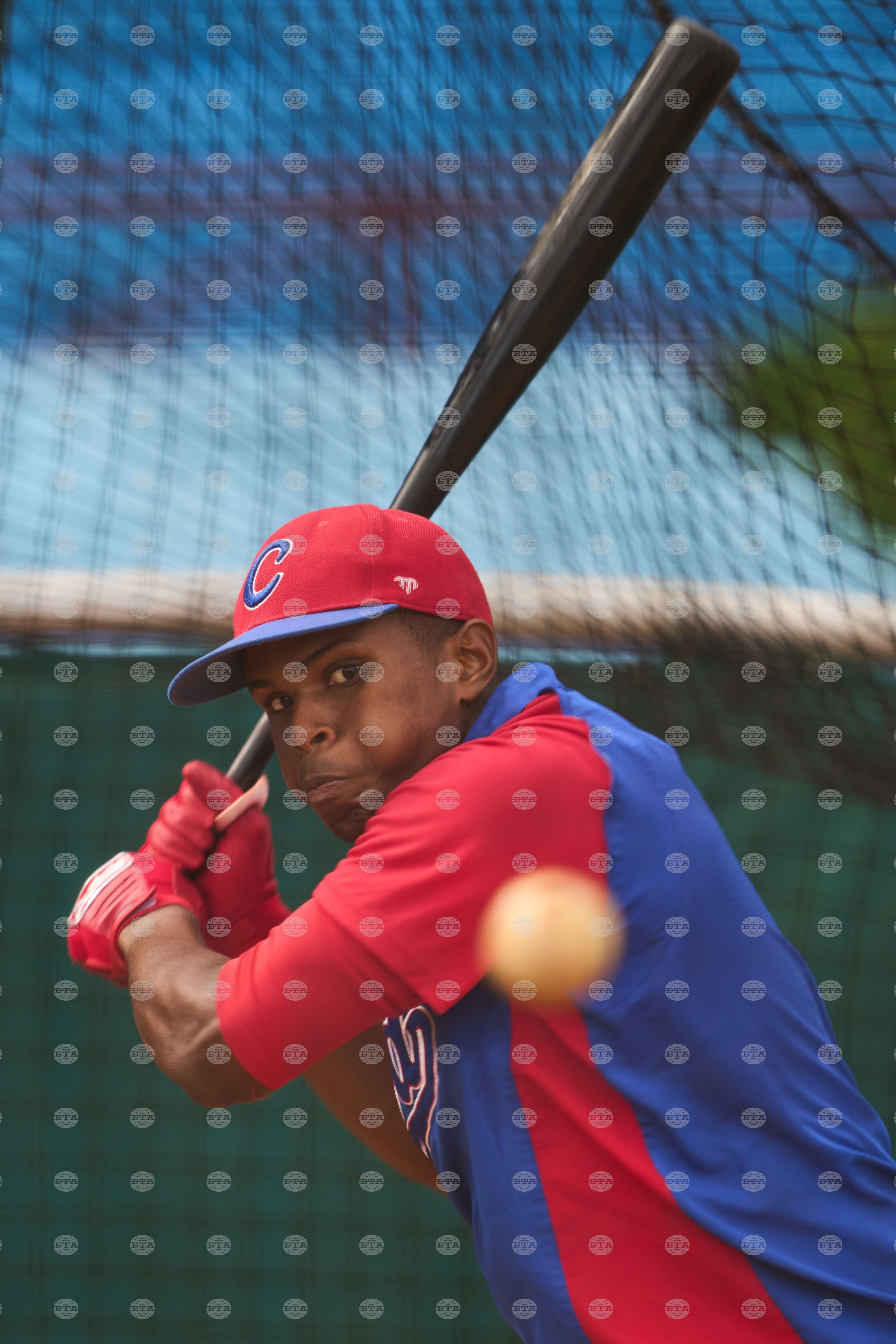 Cuba Baseball