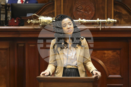 South Carolina Legislature