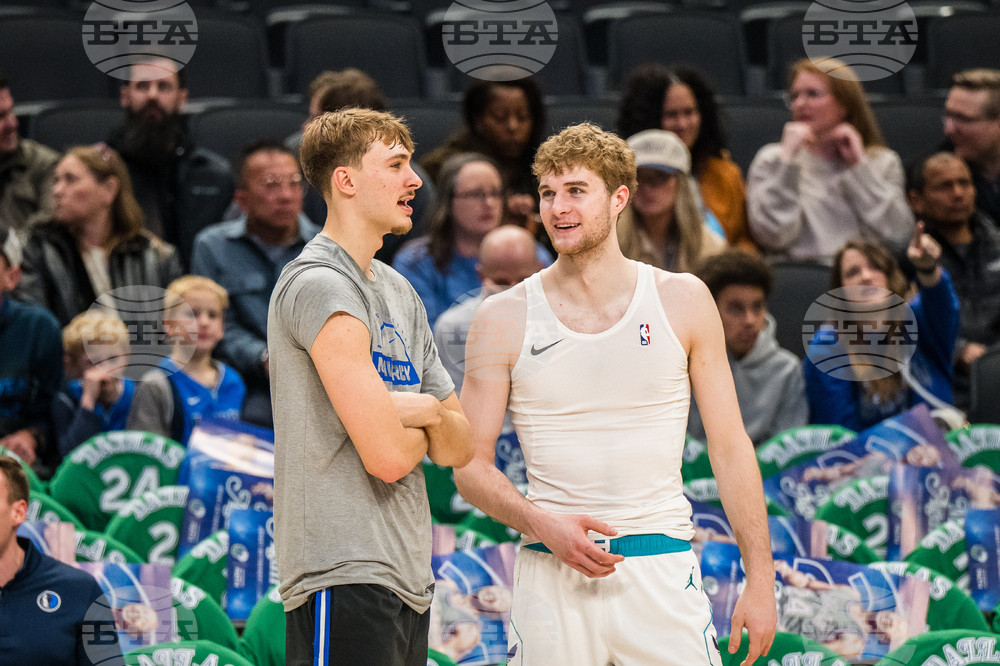 Hornets Mavericks Basketball