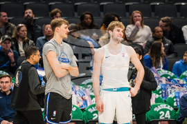 Hornets Mavericks Basketball