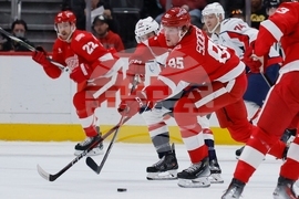 Capitals Red Wings Hockey