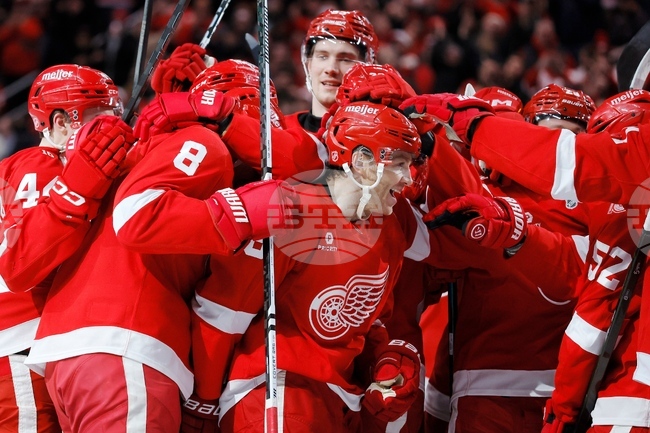 APTOPIX Capitals Red Wings Hockey