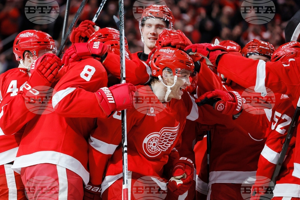 APTOPIX Capitals Red Wings Hockey