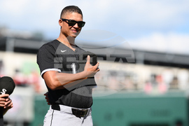 White Sox Getz & Venable Baseball