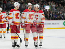 Flames Wild Hockey