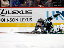 Mammoth Hurricanes Hockey