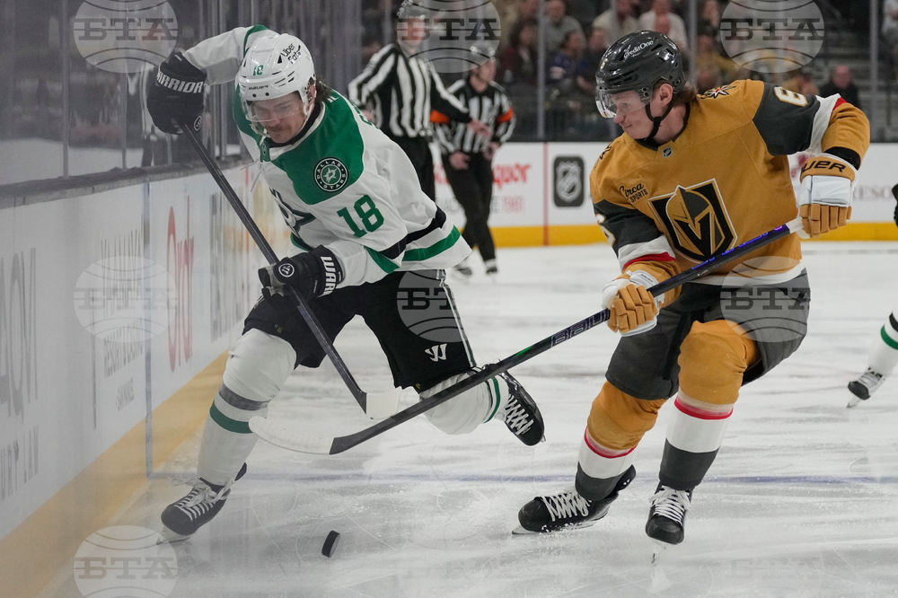 Stars Golden Knights Hockey