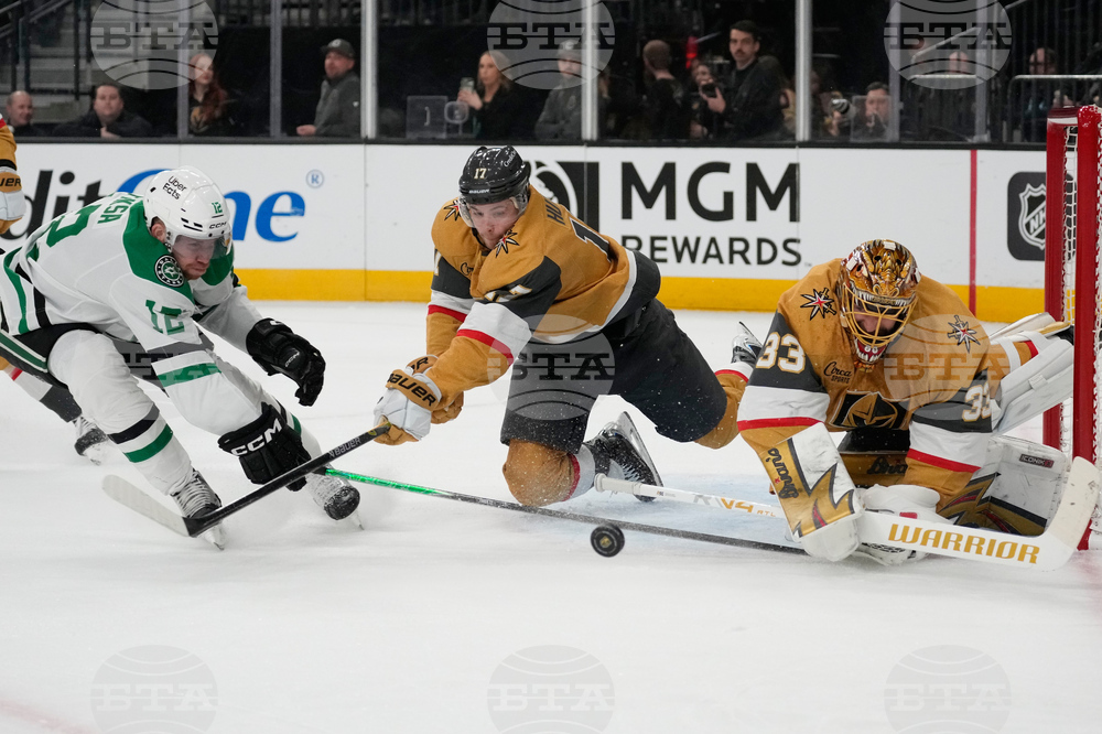 Stars Golden Knights Hockey