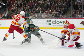 Flames Wild Hockey