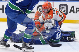 Ducks Canucks Hockey