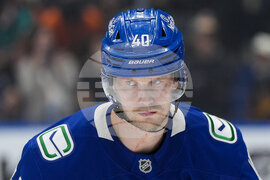 Ducks Canucks Hockey