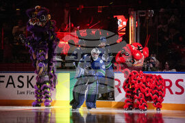 Ducks Canucks Hockey