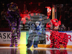 Ducks Canucks Hockey