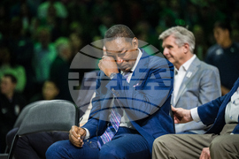 Hornets Mavericks Basketball