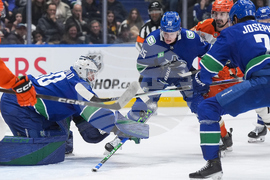 Ducks Canucks Hockey