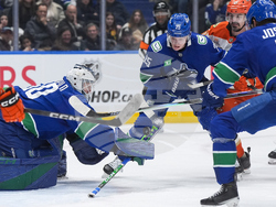 Ducks Canucks Hockey