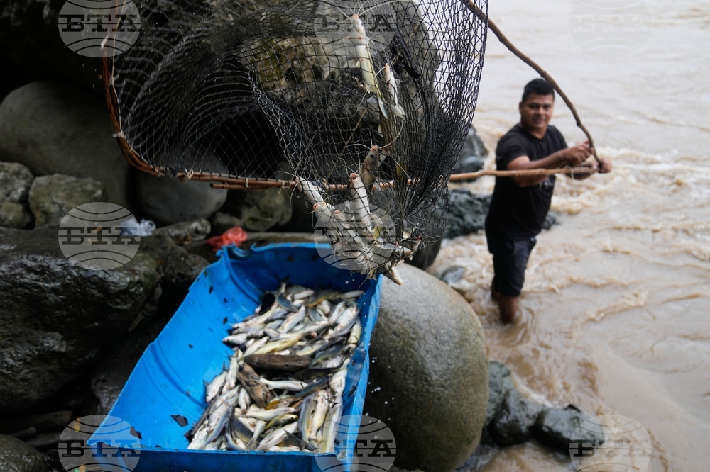 Pictures of the Week Latin America and Caribbean Photo Gallery