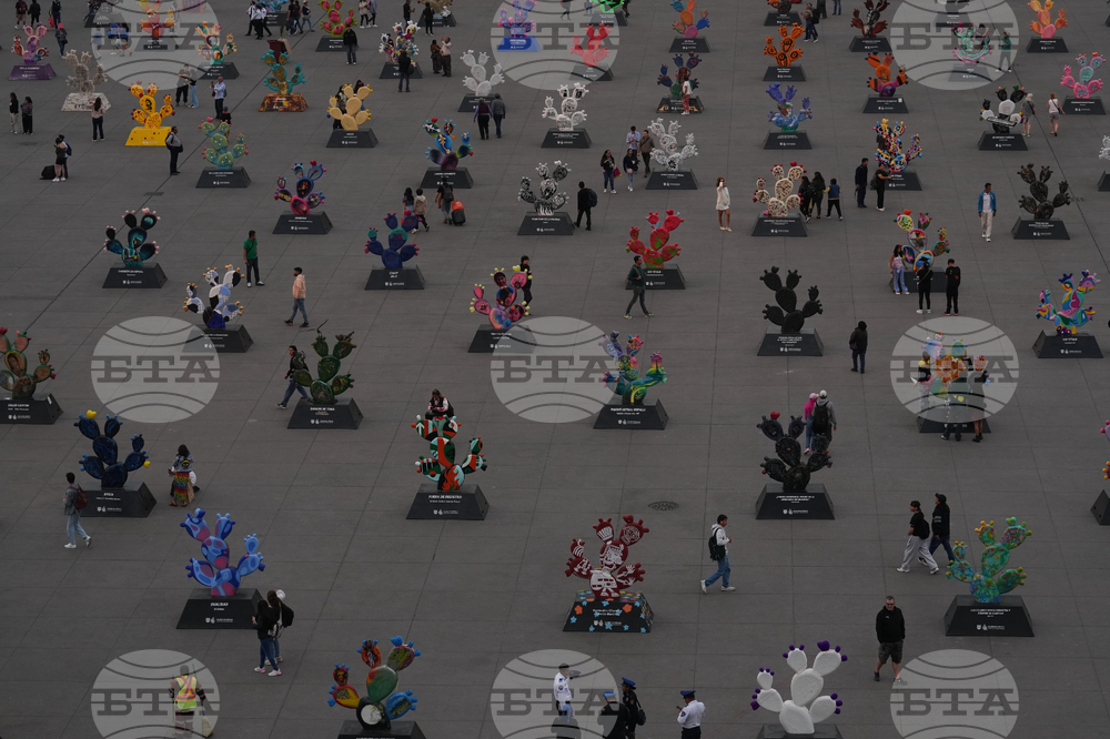 Pictures of the Week Latin America and Caribbean Photo Gallery