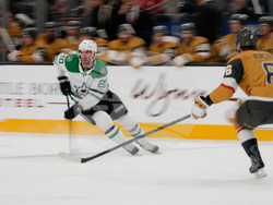 Stars Golden Knights Hockey