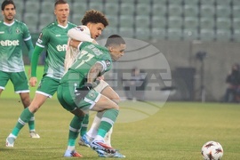 Разград - футбол - Лудогорец - Ница