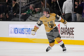 Stars Golden Knights Hockey