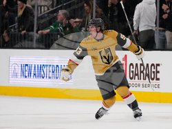 Stars Golden Knights Hockey